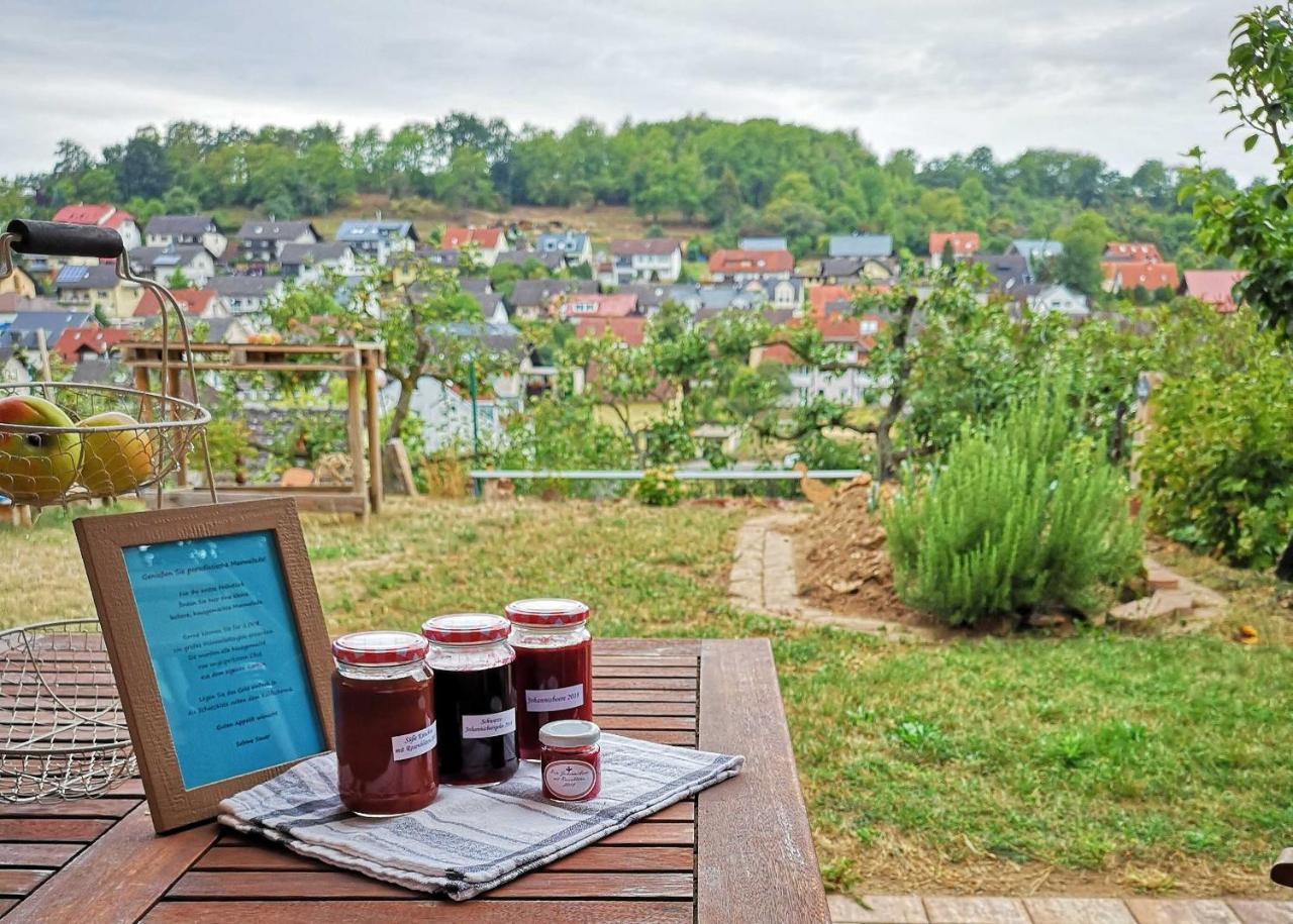 Ferienwohnung Im Paradies Momlingen 외부 사진